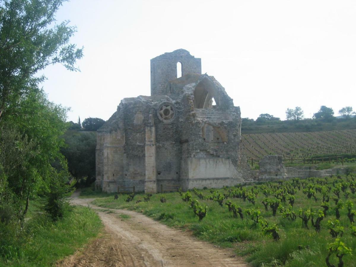 Maison De La Fontaine Embres-et-Castelmaure Dış mekan fotoğraf